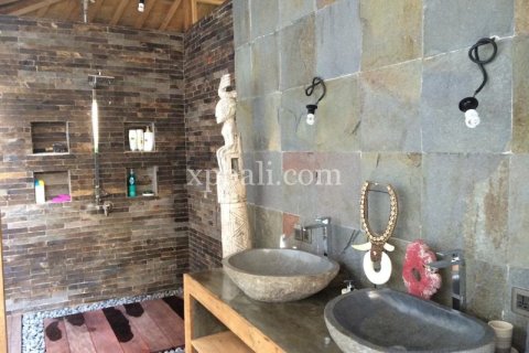 4 bedrooms Villa in Lovina, Anturan, Buleleng, Indonesia No. 7962 19