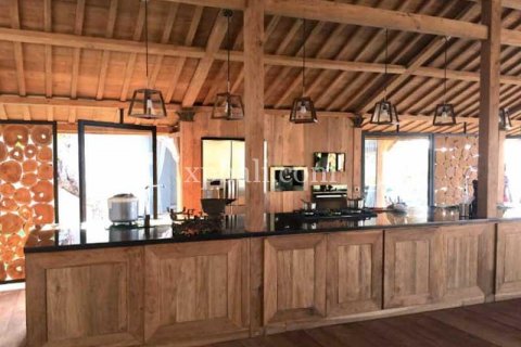 4 bedrooms Villa in Lovina, Anturan, Buleleng, Indonesia No. 7962 7