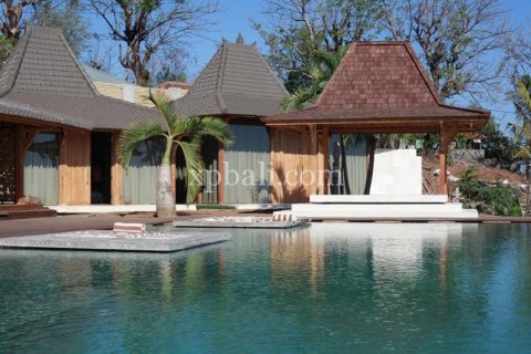 4 bedrooms Villa in Lovina, Anturan, Buleleng, Indonesia No. 7962 12