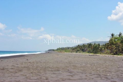 Земельный участок 7000м2 в East Balikpapan, Баликпапан, Индонезия № 7956 14