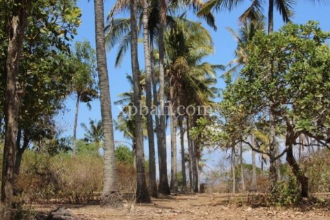 Земельный участок 7000м2 в East Balikpapan, Баликпапан, Индонезия № 7956 10