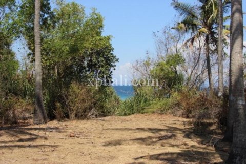 Земельный участок 7000м2 в East Balikpapan, Баликпапан, Индонезия № 7956 11