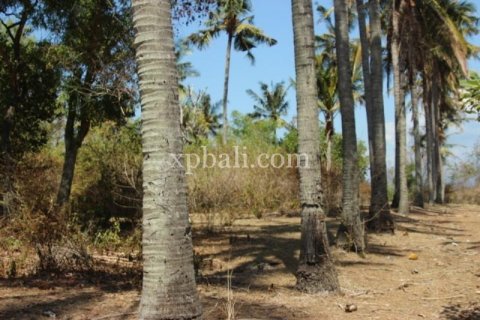 Земельный участок 7000м2 в East Balikpapan, Баликпапан, Индонезия № 7956 3