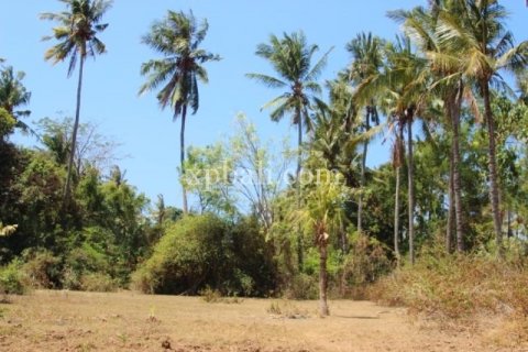 Земельный участок 7000м2 в East Balikpapan, Баликпапан, Индонезия № 7956 9