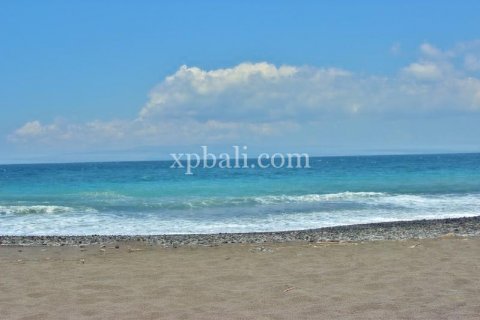 Земельный участок 7000м2 в East Balikpapan, Баликпапан, Индонезия № 7956 13