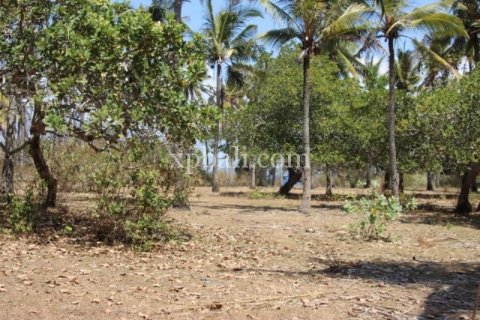 Земельный участок 7000м2 в East Balikpapan, Баликпапан, Индонезия № 7956 7