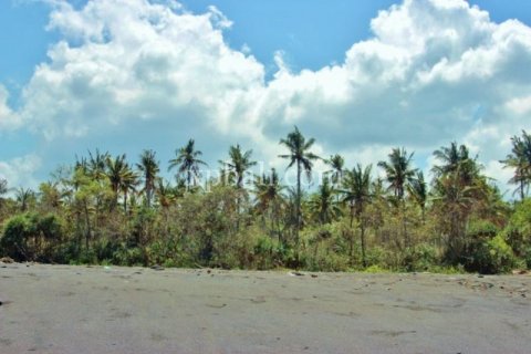 Земельный участок 7000м2 в East Balikpapan, Баликпапан, Индонезия № 7956 12