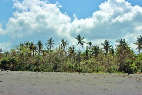 Земельный участок 7000м2 в East Balikpapan, Баликпапан, Индонезия № 7956 6