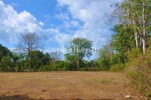 13700m2 Land in South Kuta, Badung, Indonesia No. 7958
