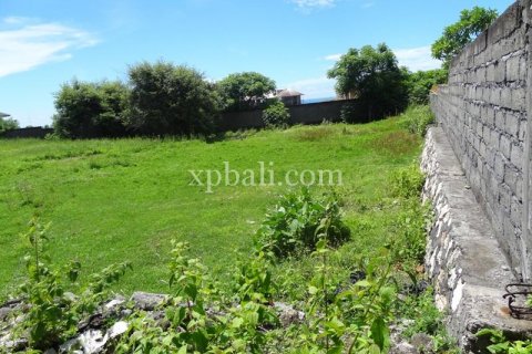 2400m2 Land in South Kuta, Badung, Indonesia No. 7957 7