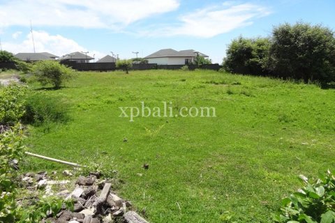2400m2 Land in South Kuta, Badung, Indonesia No. 7957 13