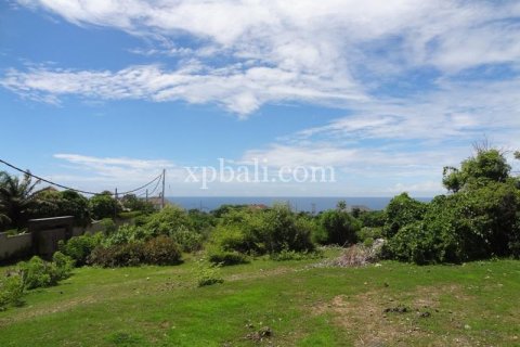 2400m2 Land in South Kuta, Badung, Indonesia No. 7957 10