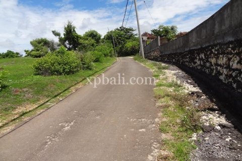 2400m2 Land in South Kuta, Badung, Indonesia No. 7957 11
