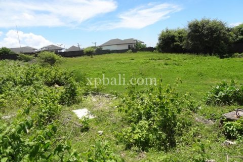 2400m2 Land in South Kuta, Badung, Indonesia No. 7957 8