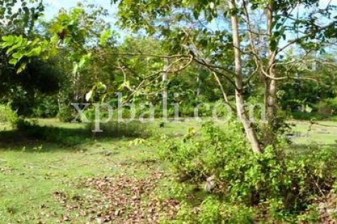 5000m2 Land in South Kuta, Badung, Indonesia No. 7988 5