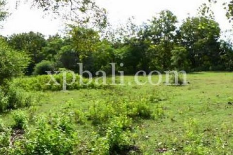 5000m2 Land in South Kuta, Badung, Indonesia No. 7988 6