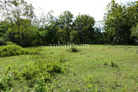 5000m2 Land in South Kuta, Badung, Indonesia No. 7988 4
