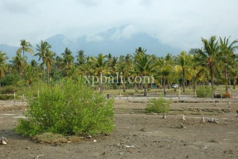 Land in Lovina, Anturan, Buleleng, Indonesia No. 7984 5