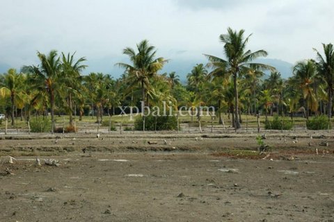 Land in Lovina, Anturan, Buleleng, Indonesia No. 7984 6