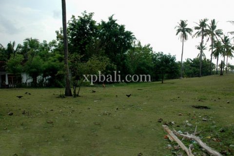 Land in Lovina, Anturan, Buleleng, Indonesia No. 7984 2