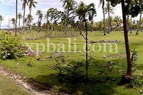 Land in Lovina, Anturan, Buleleng, Indonesia No. 7984 11