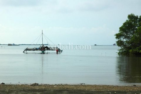 Land in Lovina, Anturan, Buleleng, Indonesia No. 7984 10
