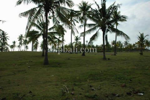 Land in Lovina, Anturan, Buleleng, Indonesia No. 7984 3