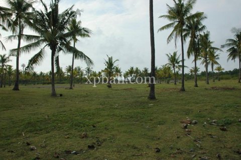 Land in Lovina, Anturan, Buleleng, Indonesia No. 7984 4