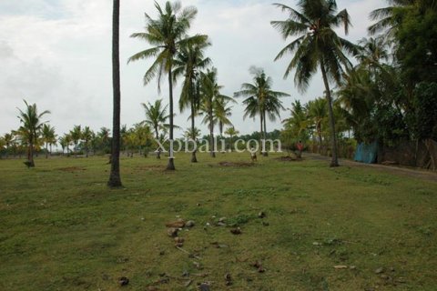 Land in Lovina, Anturan, Buleleng, Indonesia No. 7984 7