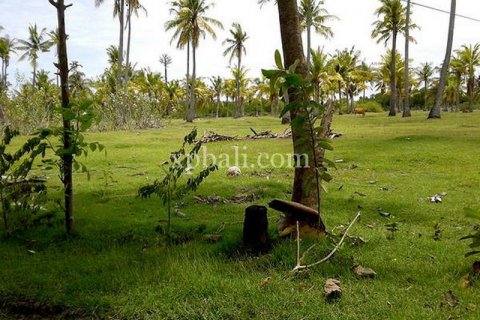Land in Lovina, Anturan, Buleleng, Indonesia No. 7984
