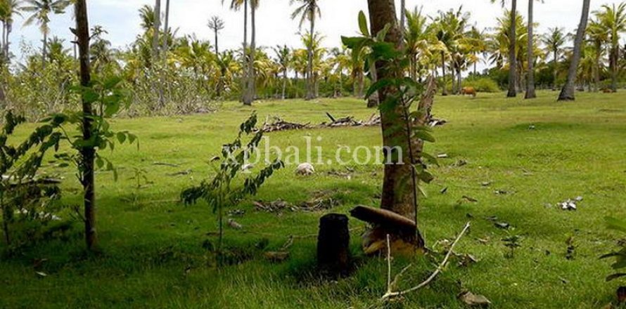 Land in Lovina, Anturan, Buleleng, Indonesia No. 7984