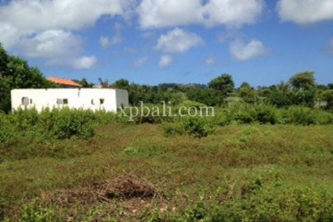 2000m2 Land in South Kuta, Badung, Indonesia No. 7987