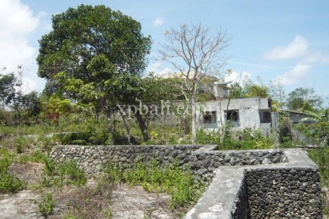 Land in South Kuta, Badung, Indonesia No. 7986