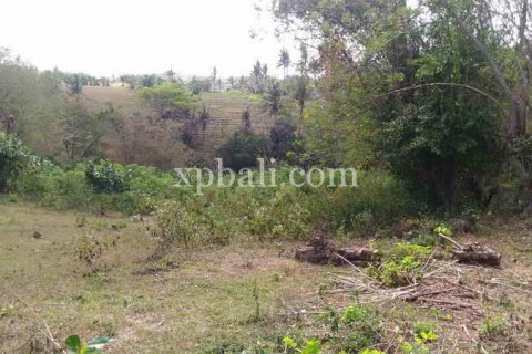 7900m2 Land in Tabanan, Indonesia No. 426