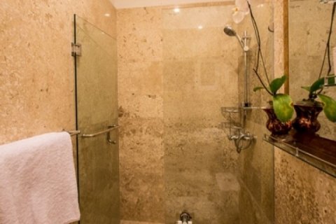 3 bedrooms Villa in Seminyak, Badung, Indonesia No. 1425 15