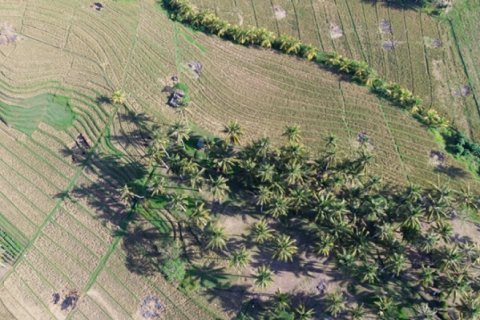 Land in Tabanan, Indonesia No. 11651 2
