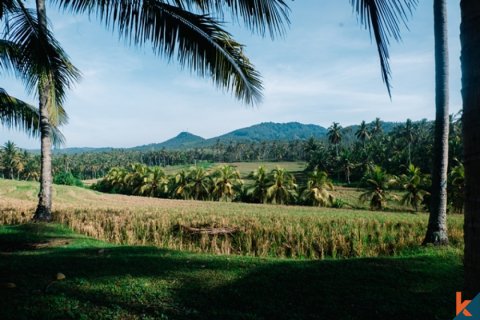 Land in Tabanan, Indonesia No. 11651 3
