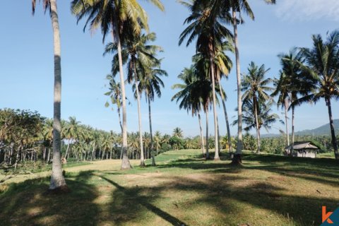 Land in Tabanan, Indonesia No. 11651 10