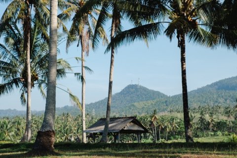 Land in Tabanan, Indonesia No. 11651 8