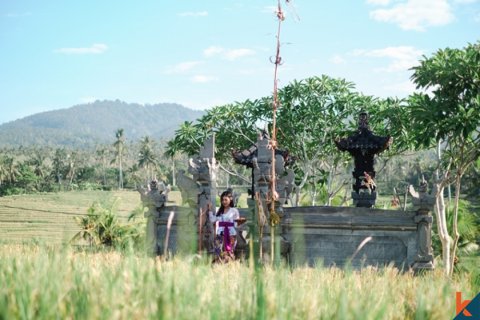 Land in Tabanan, Indonesia No. 11651 7