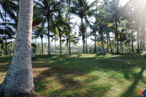 Land in Tabanan, Indonesia No. 11651 11