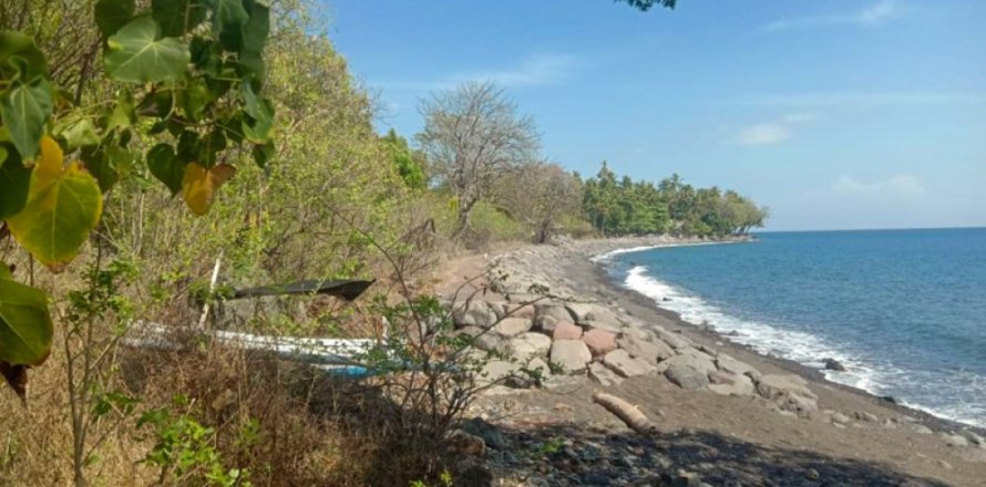 Land in Singaraja, Buleleng, Indonesia No. 11650