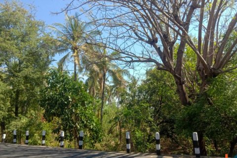 Land in Singaraja, Buleleng, Indonesia No. 11650 10