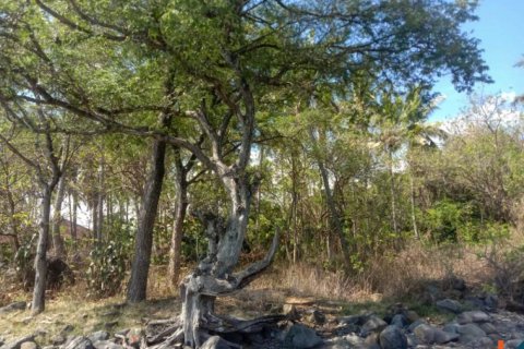 Land in Singaraja, Buleleng, Indonesia No. 11650 11