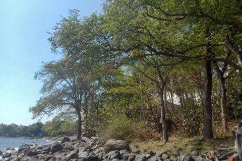 Land in Singaraja, Buleleng, Indonesia No. 11650 3