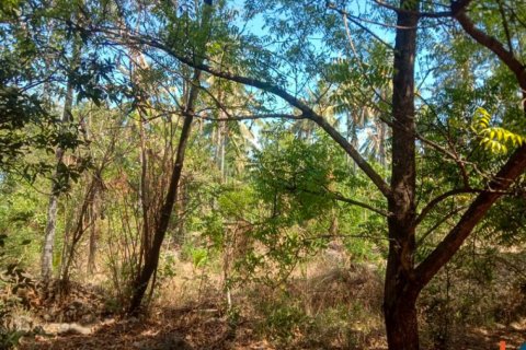 Land in Singaraja, Buleleng, Indonesia No. 11650 8