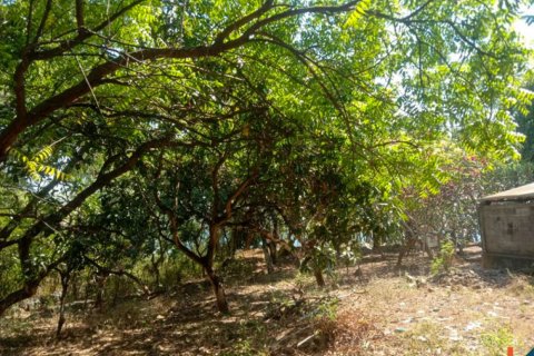 Land in Singaraja, Buleleng, Indonesia No. 11650 7