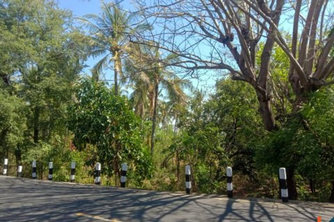Land in Singaraja, Buleleng, Indonesia No. 11650 9