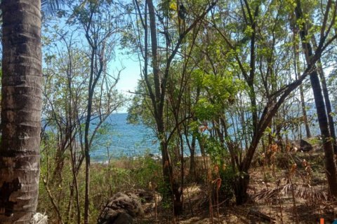 Land in Singaraja, Buleleng, Indonesia No. 11650 6