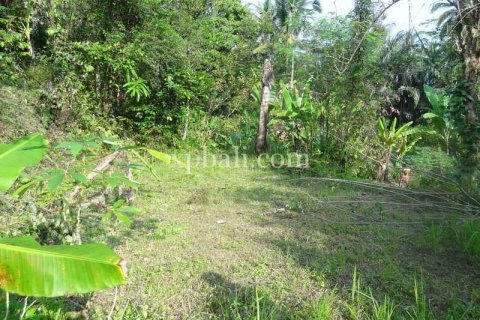 20252m2 Land in Ubud, Gianyar, Indonesia No. 487